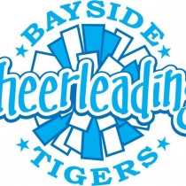 CHEER31
